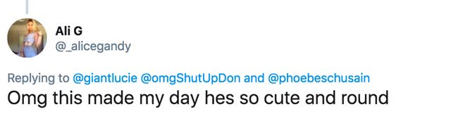 This Wholesome Humpty Dumpty Fall Meme Is Wonderful