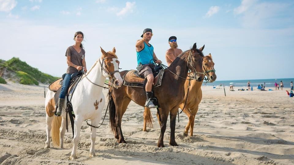 Enjoy a relaxing horseback ride along the sandy beach with the Virginia Beach & Outer Banks Horseback . The 30-minute or 1-hour guided ride is perfect for first-timers and experienced riders alike and suitable for family, couples, or even solo rider. You'll get to meet friendly horses (and ponies!) like Twinkie, Ginger, and Tracker.