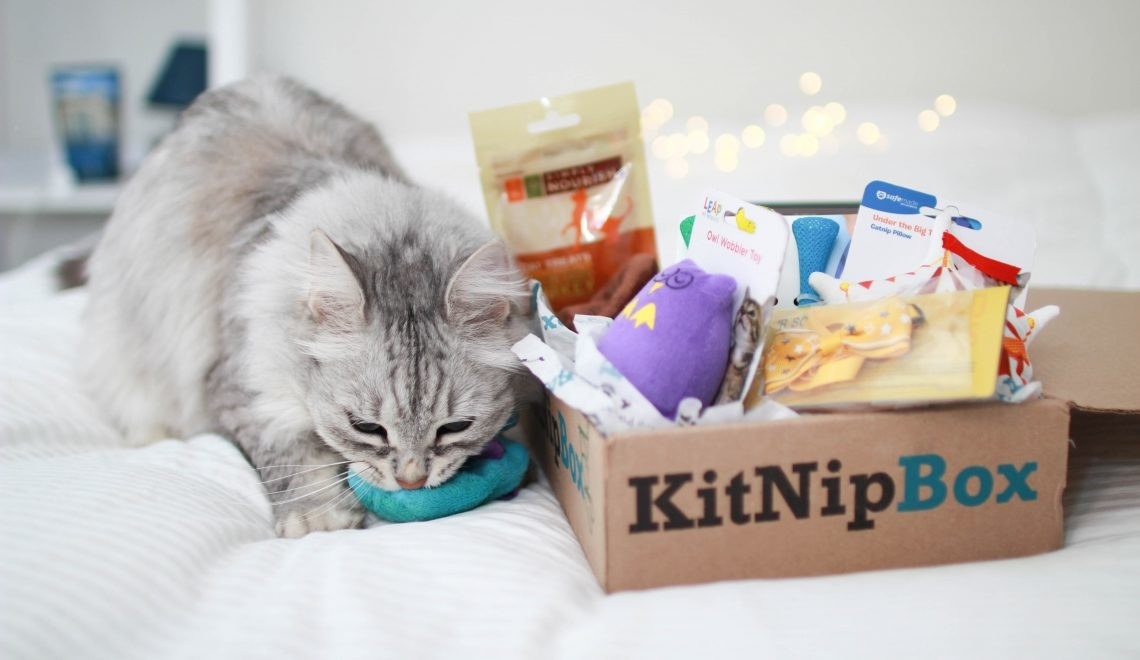 What you get: Depending on the plan, you get 5, 7, or 10 items. Expect fun toys, all-natural treats, catnip-stuffed goods, and more. More of a dog person? We tested all of 'em.Price: $19+/month