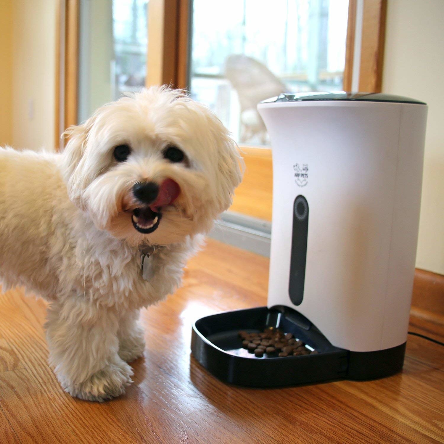 dog licking lips beside of the pet feeder