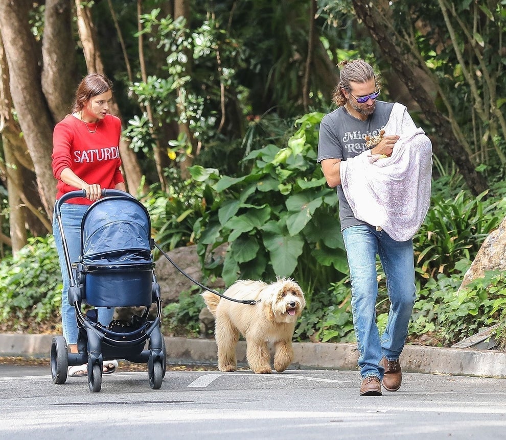 A Star Certainly Was Born, And It's Bradley Cooper's Dog, Charlie