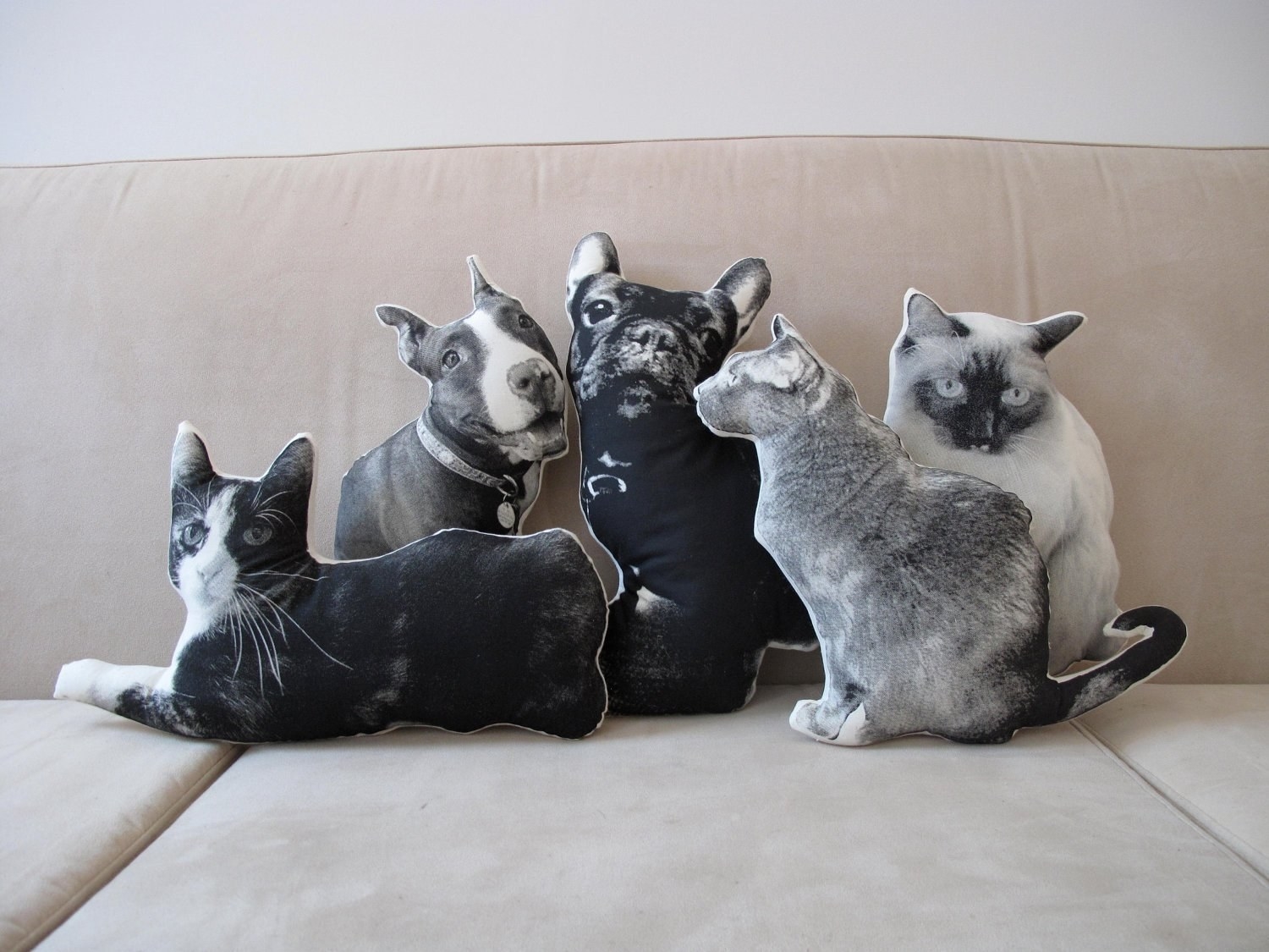 Five pillows of cats and dogs sitting on a couch