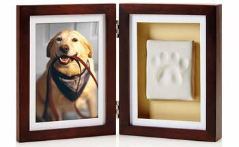 a double picture frame with a dog photo on one half and a paw print on the other