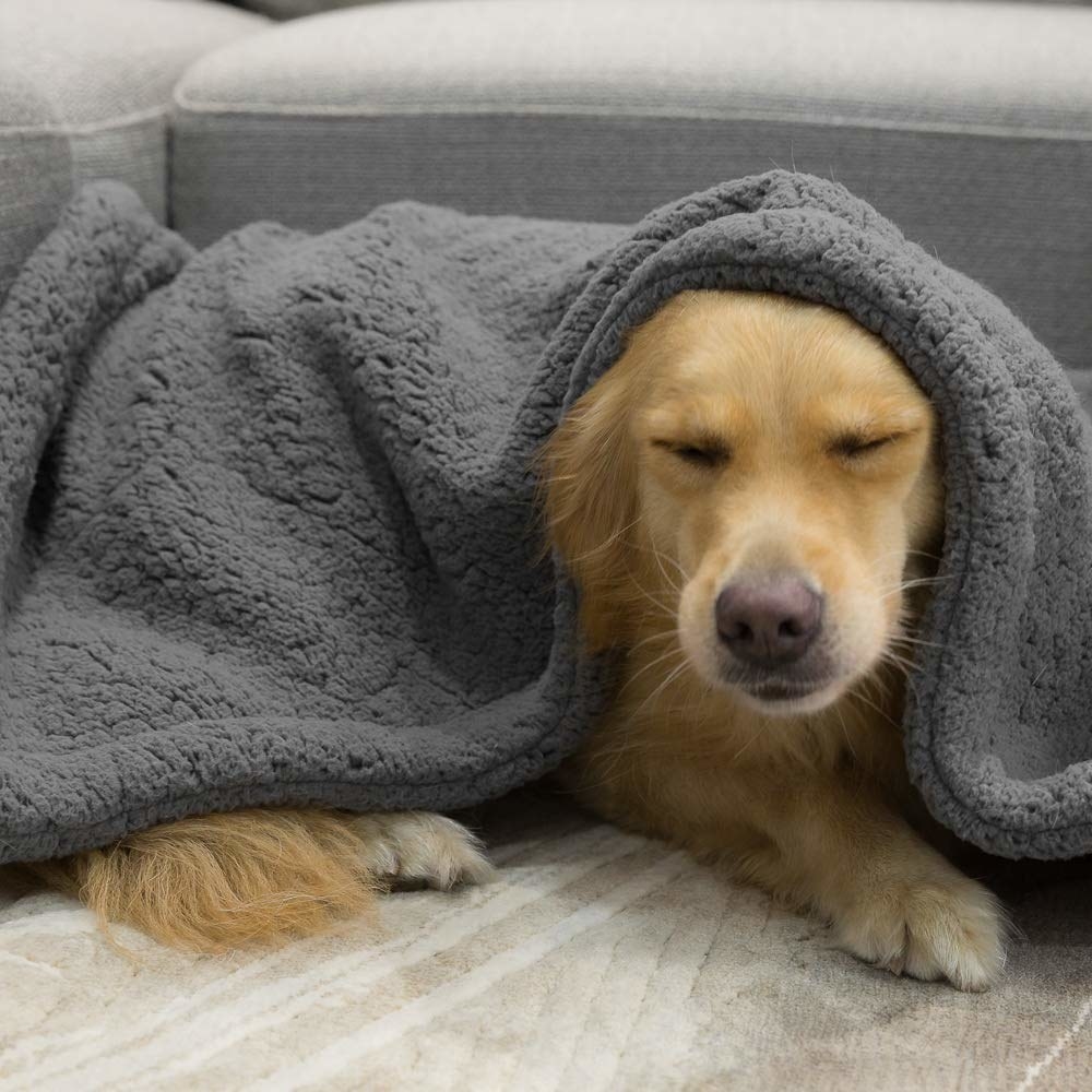 More often than not, my dog is hiding in my parents' walk-in closet bundled up in a blanket of his choosing. And you know what? He (and all pets) deserves an upgrade, damnit! This blanket features a double thickness, so it is SUPER soft and excellent for making your pet comfortable. It's made of fleece and flannel, plus it's machine-washable!Promising review: "I bought the medium-size blanket and it's perfect for my dog to snuggle up with in her crate. It's not too bulky, yet it's fluffy and keeps her warm. It doesn't take up all of the room in her medium crate if she wants to push it aside on warmer nights. I'll be buying another one for our cottage." —MarleighGet it from Amazon for $12.99+ (available in three sizes and in five colors).