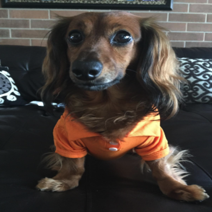 21 Products You Need If You're Obsessed With Your Pet