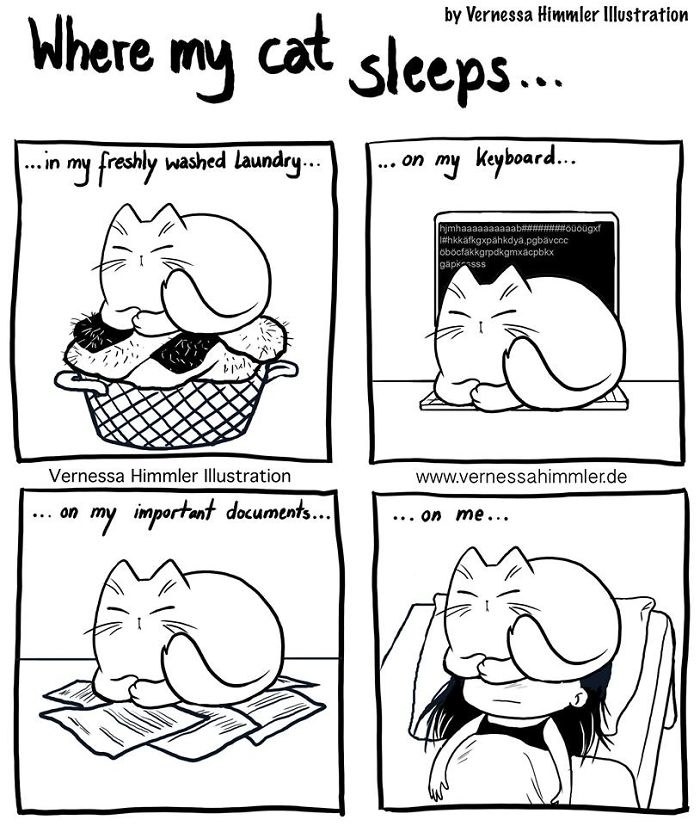 This Artist's Cat Comics Are Absolutely Purrrfect