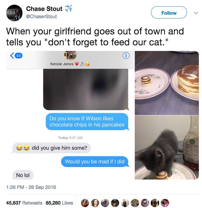 (Don't worry; he didn't feed the cat any chocolate.)