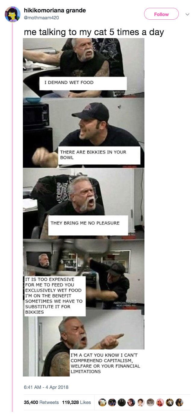 15 تغريدة لن يفهمها إلاّ أصحاب القطط