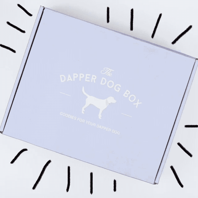What you get: two yummy treats, two fun toys, and a stylish bandana in a special monthly theme.Get it from Dapper Dog for $35+/month.
