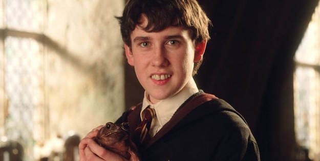 "Harry Potter"-Quiz: Finde heraus in welches Hogwarts-Haus ...