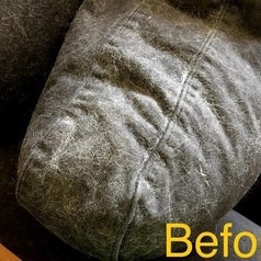the reviewer's couch cushion before, covered in hair