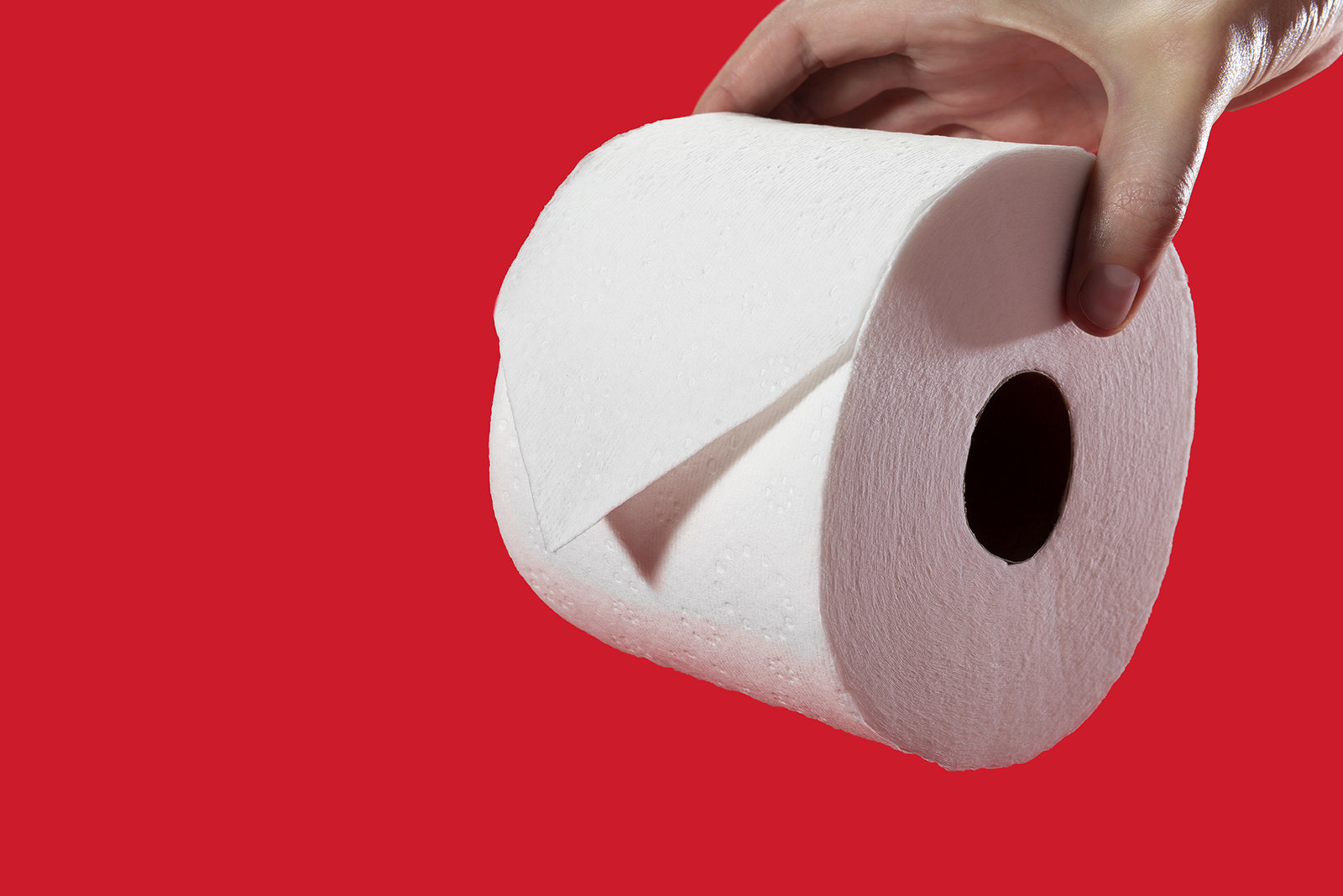 on. our pick for the. best *inexpensive* toilet paper. 