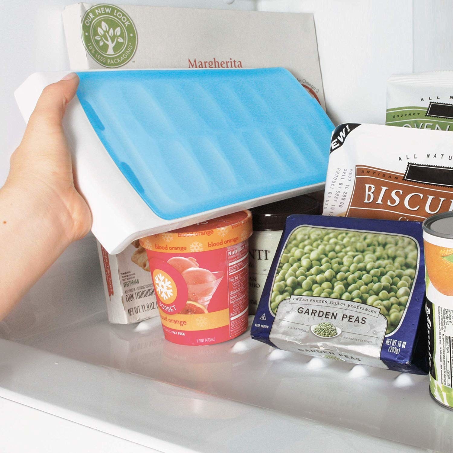 Hand placing sealed ice cube tray into freezer