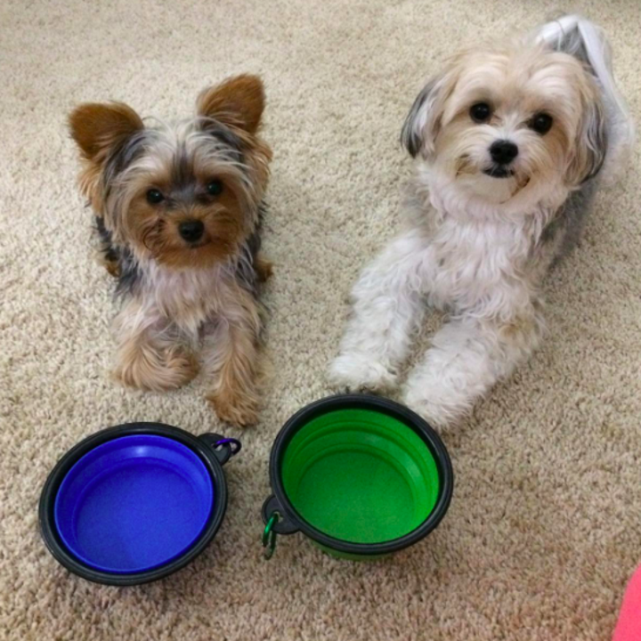 36 Products You Didn't Know Could Be Collapsible