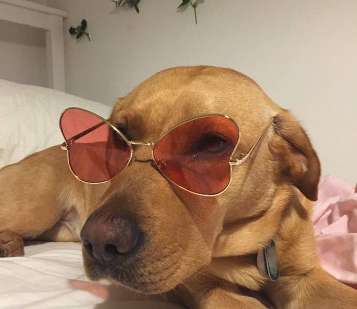 Here are the new trendy sunglasses for 2023. Our - Depop