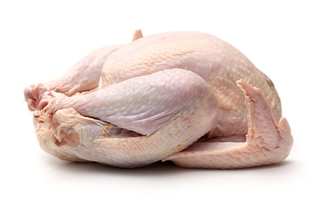 turkey