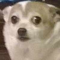 BuzzFeed profile picture for @flakes
