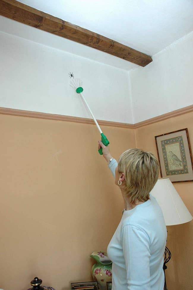 A model using the long tool with a trigger on one end and soft bristles on the other to catch a spider  close to the ceiling