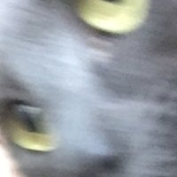 BuzzFeed profile picture for @clump