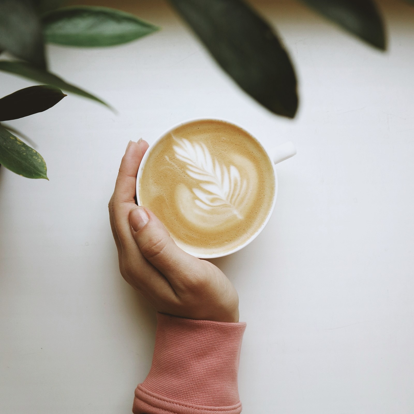 “There's an obvious benefit or detriment to any one of these milks when considering food intolerance and sensitivity. If someone is allergic to tree nuts, then almond milk is a bad idea. If someone doesn't tolerate quinoa milk, then quinoa milk is a bad idea. And so forth,” says Andrews. When it comes to nutrition, both Jones and Andrews suggest thinking about your own personal dietary needs before shopping. For example, if you’re diabetic, Jones would recommend choosing unsweetened almond milk. Similarly, if you’re already getting a lot of the thing that’s being “milked” in your diet — say, quinoa, flax, or bananas — Andrews suggests steering clear of that milk, and using this as an opportunity to diversify your diet.