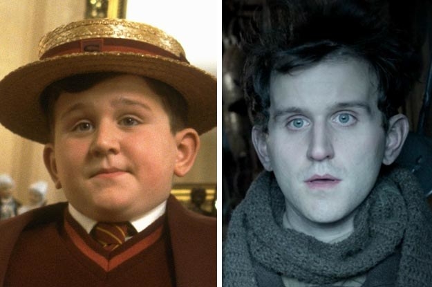 dudley harry potter then and now