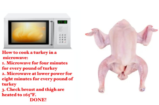 Experts Say Cooking Turkey In Microwave Is Totally Safe 9087