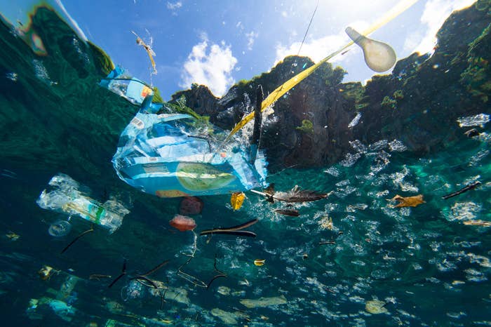 目に見えない微細な マイクロプラスチック が蔓延 人体に与える影響とは 目に見えない微細な マイクロプラスチック が蔓延 人体に与える影響とは