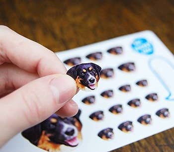 hand holding a small sticker of a dog's face with a full sheet of the same sticker under it