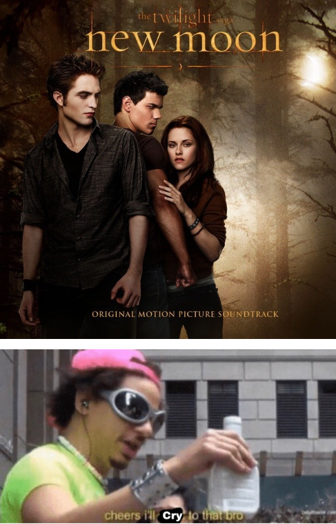 Just 100 Really Freaking Funny Memes About Twilight