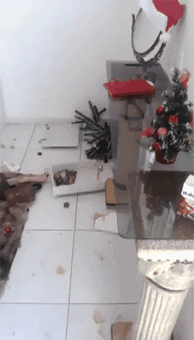 Ele também teria destruído uma cama que era dele e perfurado o gás de uma geladeira que era dela.