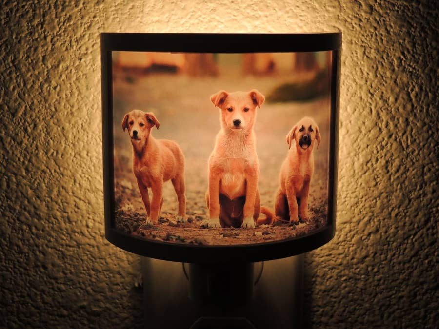 26 Custom Gifts Pet Owners Will Love *Almost* As Much As Their Pets