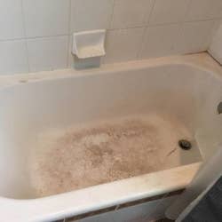 A review photo of a dirty, stained tub