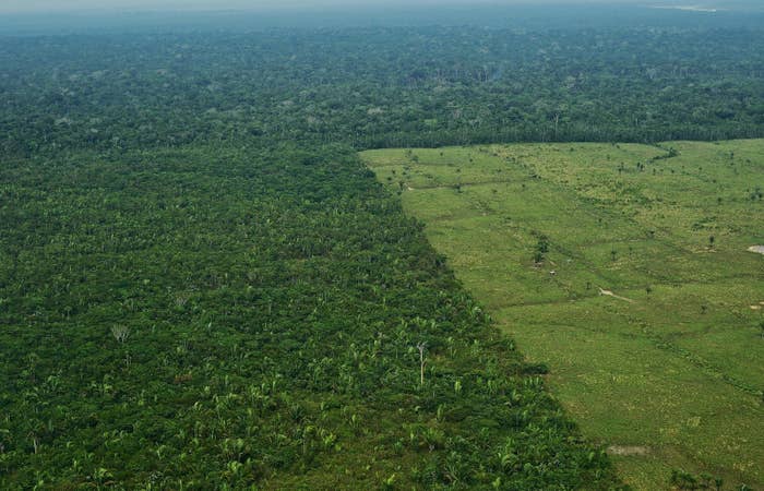 Kết quả hình ảnh cho Aerial view of deforestation in the Western Amazon region of Brazil on Sept. 22, 2017. CARL DE SOUZA / AFP / Getty Images