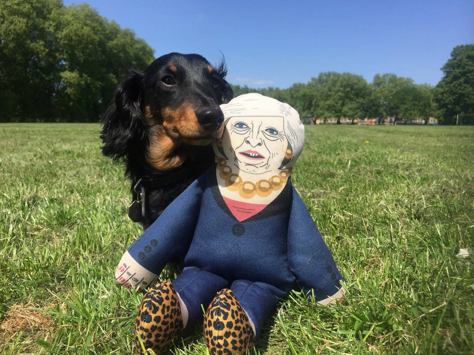 Pet Hates Toys made a series of dog toys in the image of leading British politicians. As well as Prime Minster May, you can also purchase a Jeremy Corbyn and Boris Johnson toy.