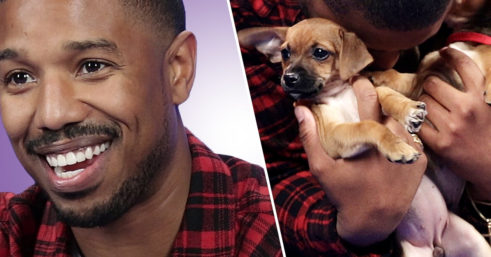 Michael B. Jordan Played With Puppies While Answer Fan Questions
