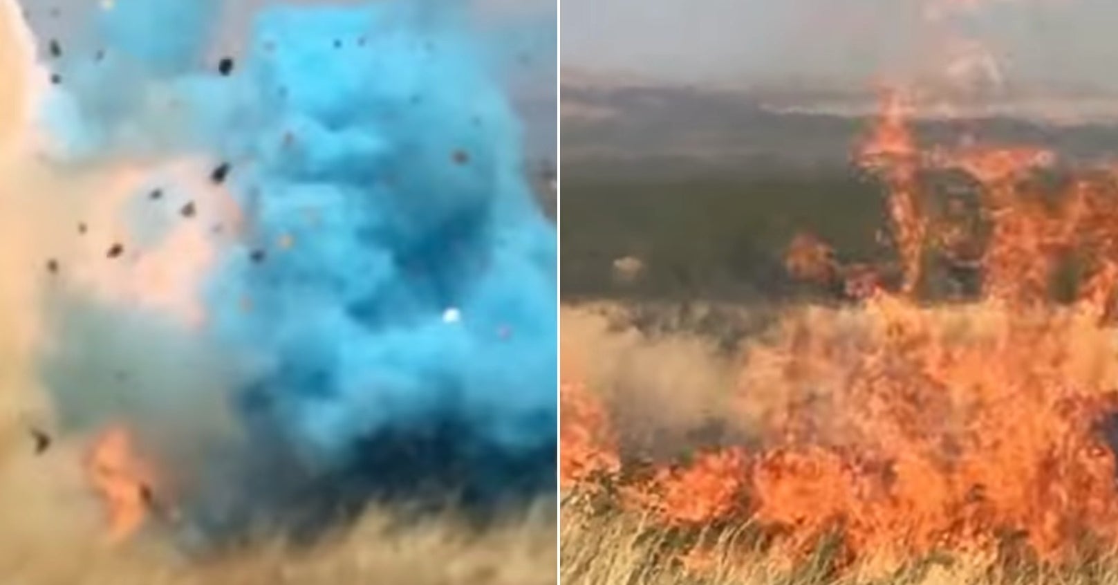 We Now Have The Video From When A Gender Reveal Party Started A Massive Wildfire And Its Insane 