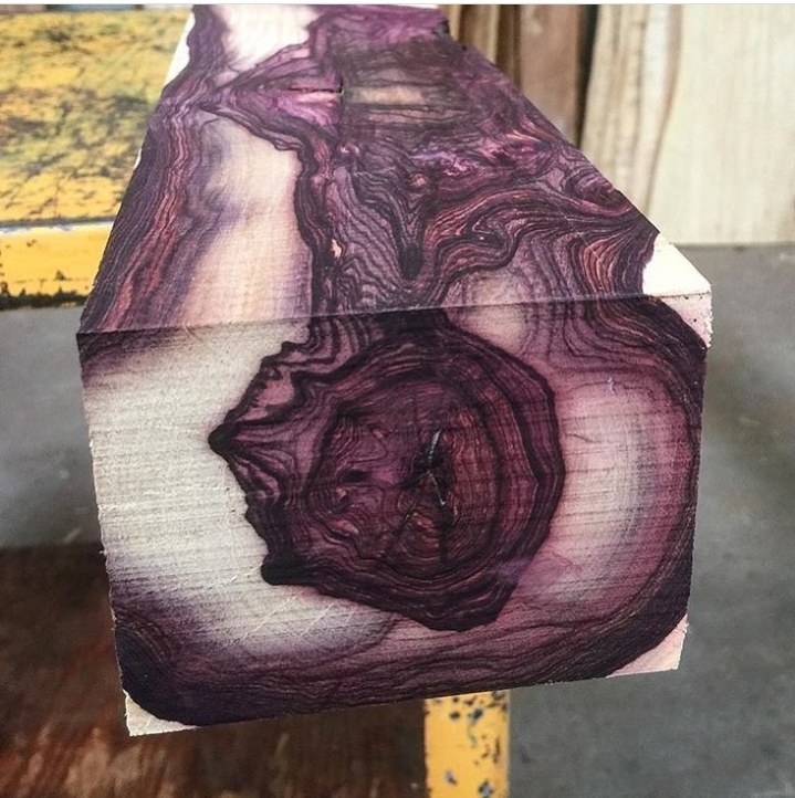 piece of wood that looks like red cabbage