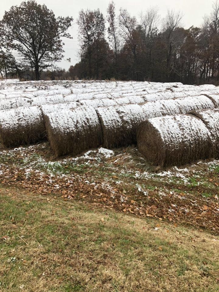 bales of hay covered in snow that look like Frosted Mini-Wheats