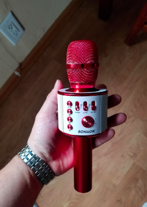 This Mic Is Perfect For People Who Love Karaoke But Hate Leaving ...