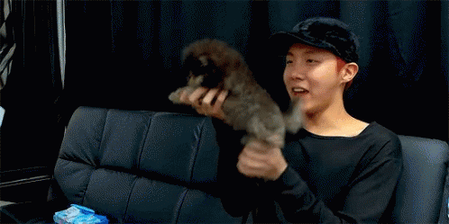 anigif_enhanced-13244-1541321205-1_previ