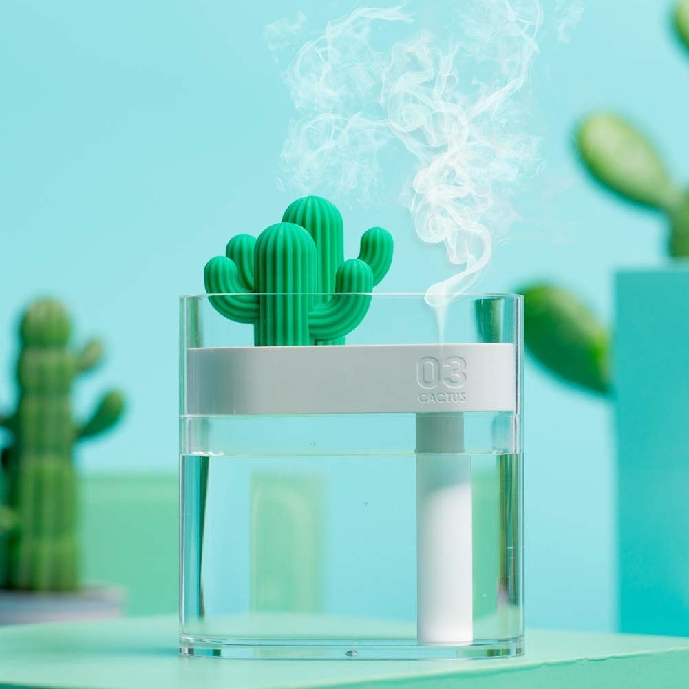 clear white container with two cacti on top and steam coming out 