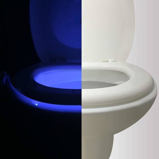 toilet with half in the daylight and half in the dark with the toilet lit up 
