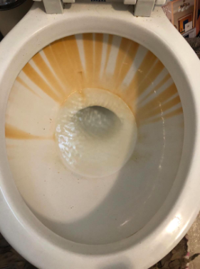 toilet bowl with nasty rust stains