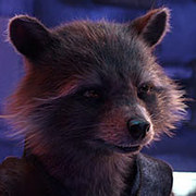 Rocket Raccoon