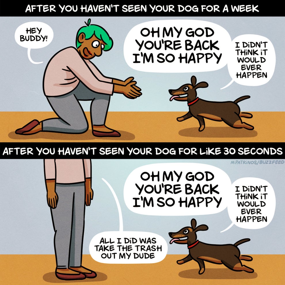 122 Funny Dog Memes That'll Make You Bark With Laughter