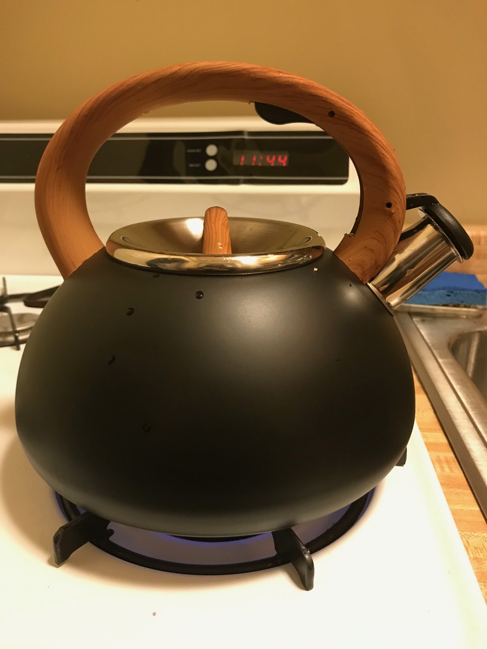 Goodful store tea kettle