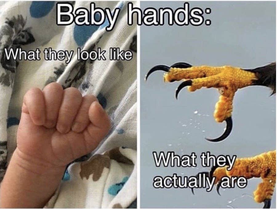 25 Baby Memes New Parents Will Laugh At For Days Your daily dose of fun! 25 baby memes new parents will laugh at