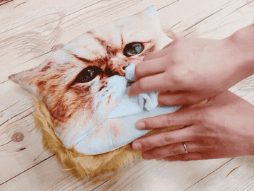 ネコ好きが思わず唸ったティッシュカバーがこれです ネコ好きが思わず唸ったティッシュカバーがこれです