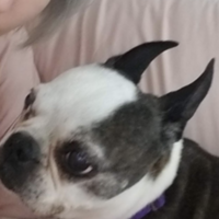 BuzzFeed profile picture for @gaudy