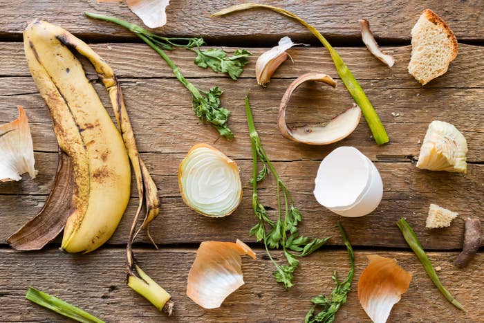 What You Can Put In Your Compost Bin And What You Can T What You Can Put In Your Compost Bin And What You Can T